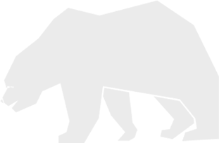 bear-gray