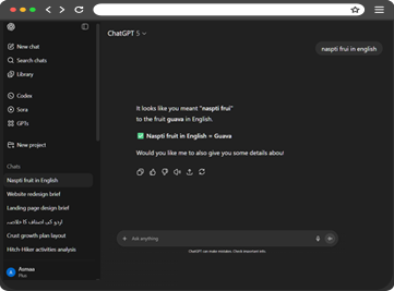 ChatGPT Screenshot